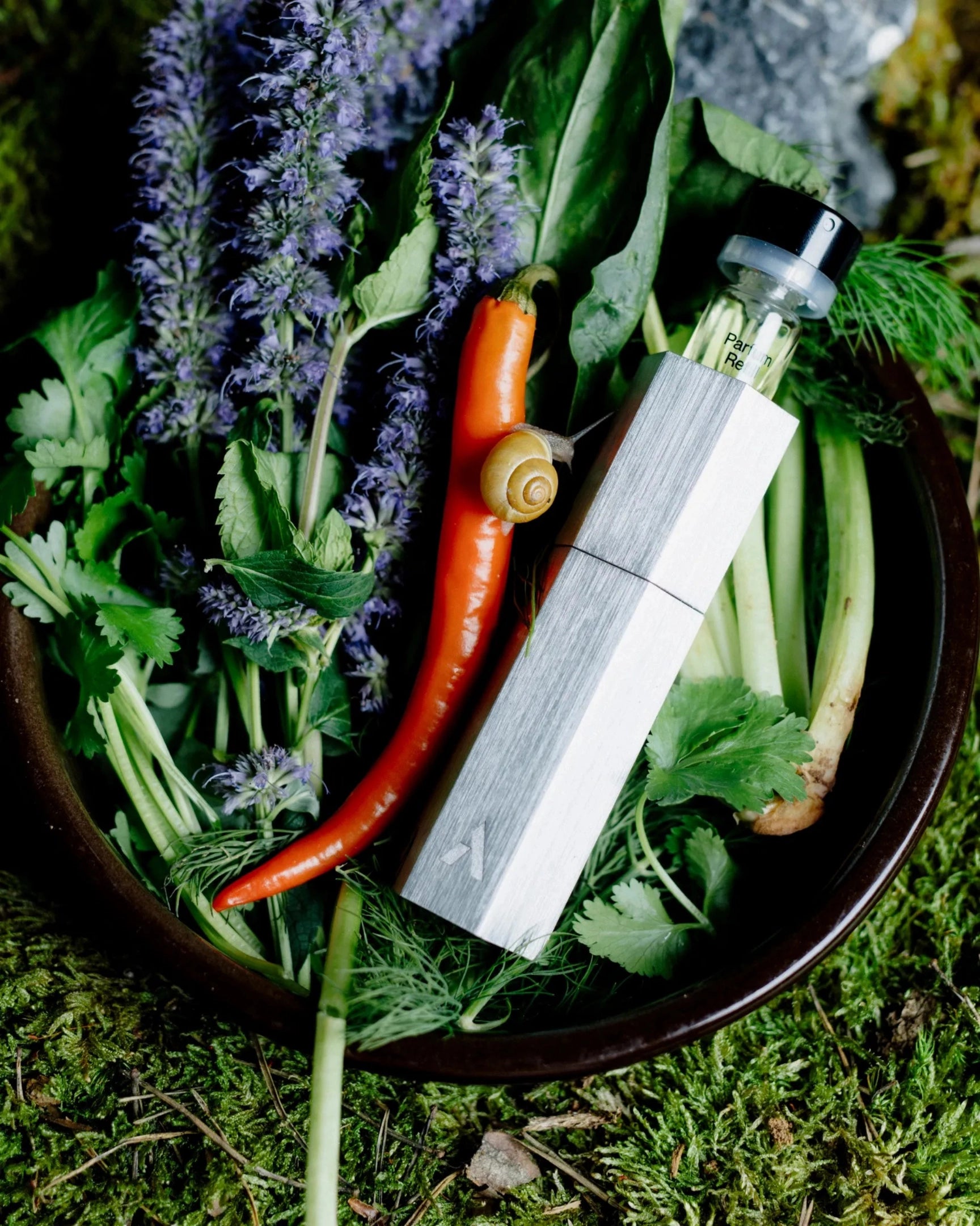 Parfum Starterpack Green