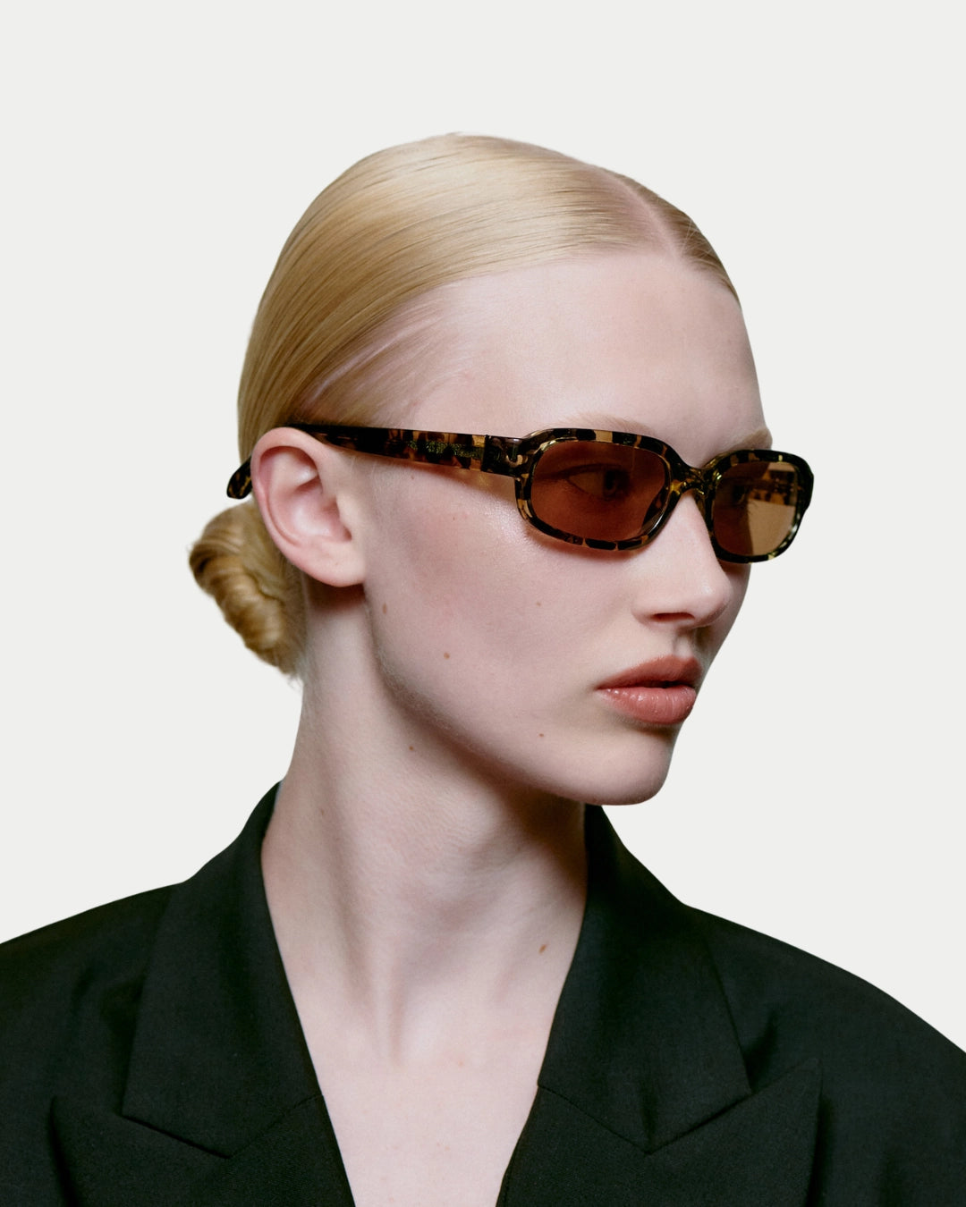 Will Black Yellow Tortoise