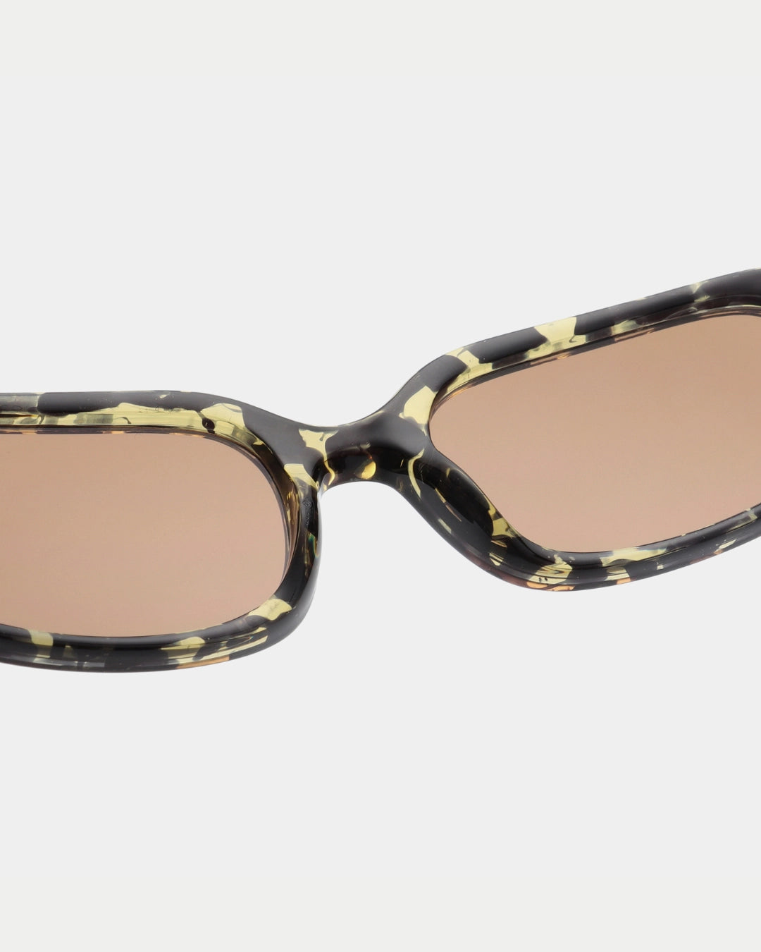 Will Black Yellow Tortoise